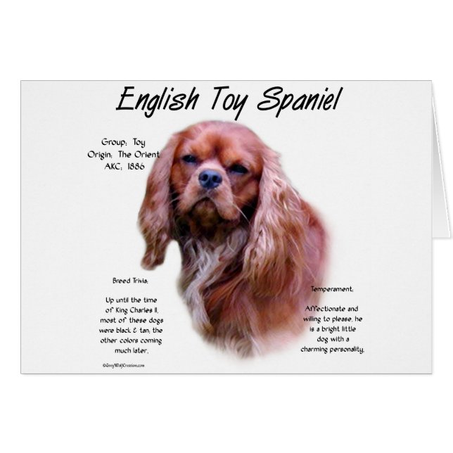 Cartão Design de História do inglês Toy Spaniel (ruby) (Frente Horizontal)