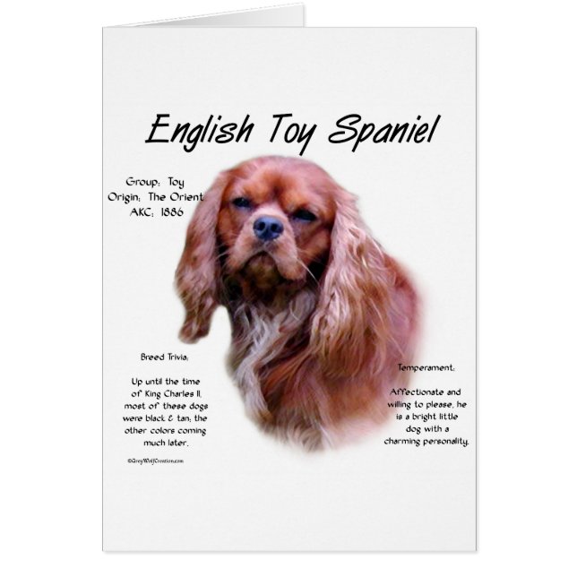 Cartão Design de História do inglês Toy Spaniel (ruby) (Frente)