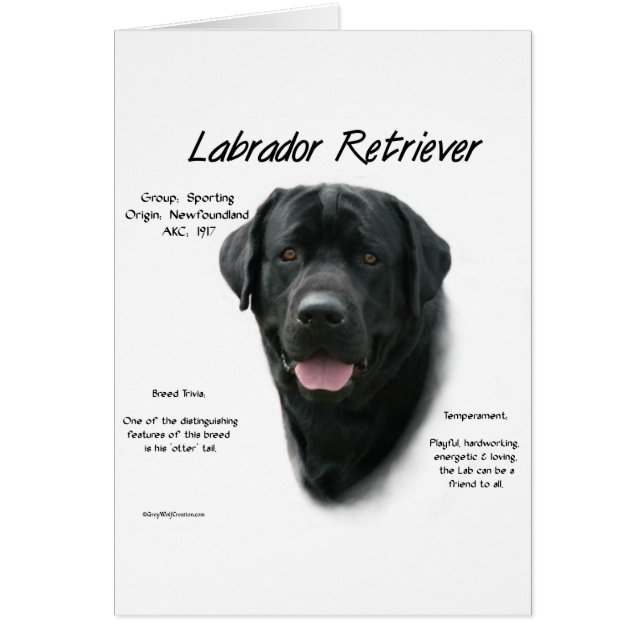 Cartão Design de História do Labrador Retriever (preto) (Frente)