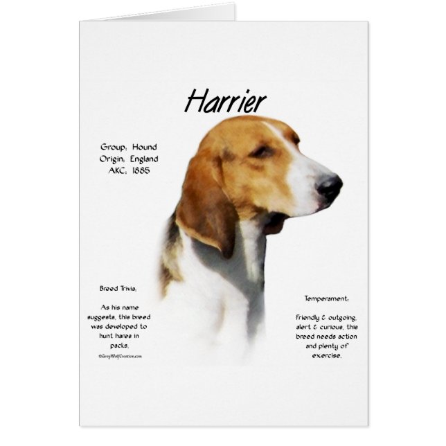 Cartão Design de histórico de Harrier (Frente)