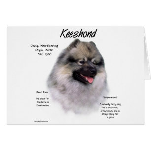 Cartão Design de Histórico de Keeshond