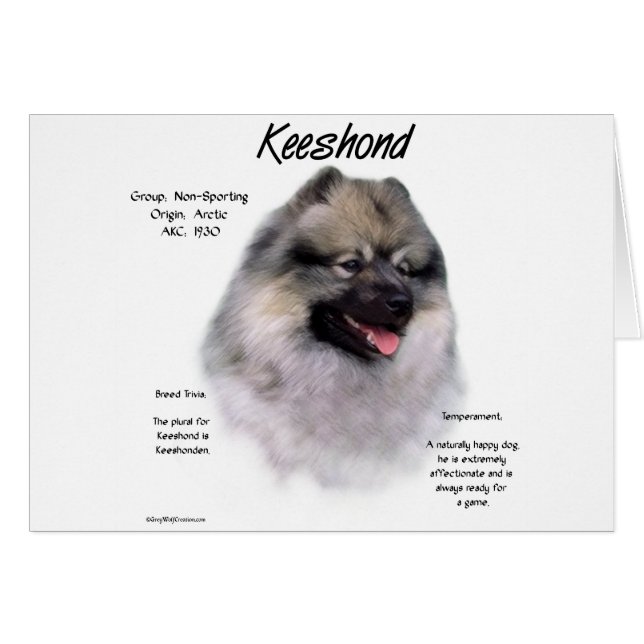 Cartão Design de Histórico de Keeshond (Frente Horizontal)