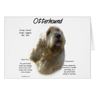 Cartão Design de Histórico de Otterhound
