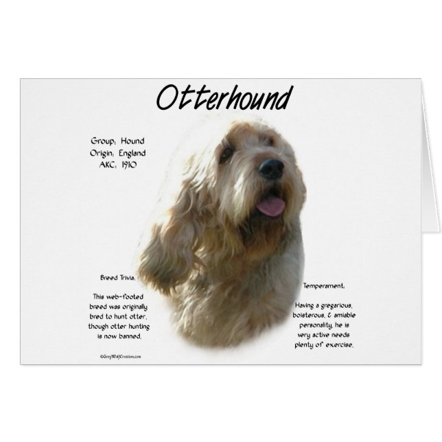 Cartão Design de Histórico de Otterhound (Frente Horizontal)