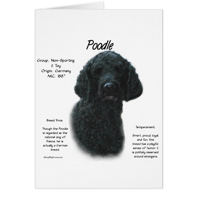 Cartão Design de Histórico de Poodle (preto) (Frente)