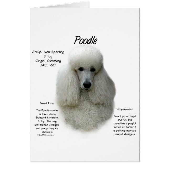 Cartão Design de Histórico de Poodle (wht) (Frente)