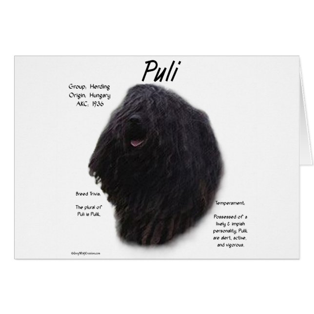 Cartão Design de Histórico de Puli (Frente Horizontal)