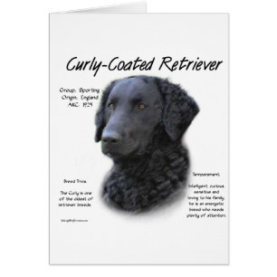 Cartão Design de Histórico de Retriever Revestido Curly