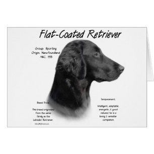 Cartão Design de Histórico de Retriever Revestido Plano