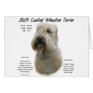 Cartão Design de Histórico de Terrier de Roda Revestida M