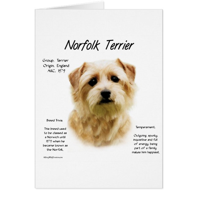 Cartão Design de Histórico de Terrier Norfolk (Frente)