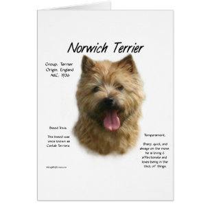 Cartão Design de Histórico de Terrier Norwich