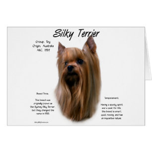 Cartão Design de Histórico de Terrier Silky