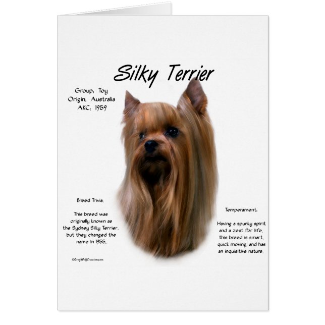 Cartão Design de Histórico de Terrier Silky (Frente)