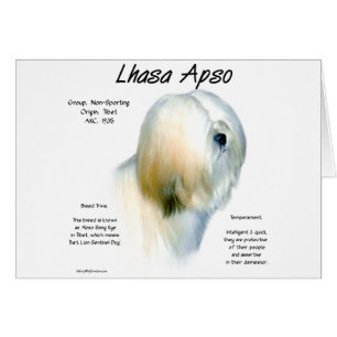 Cartão Design de Histórico do Apso da Lhasa
