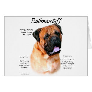 Cartão Design de Histórico do Bullmastiff (vermelho)