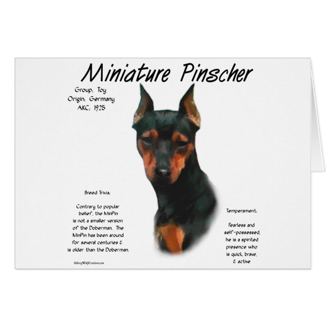 Cartão Design de histórico do Pinscher Miniatura (preto/f (Frente Horizontal)