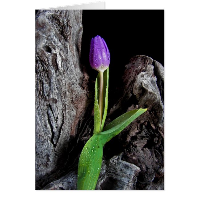 Cartão Design de madeira (Frente)