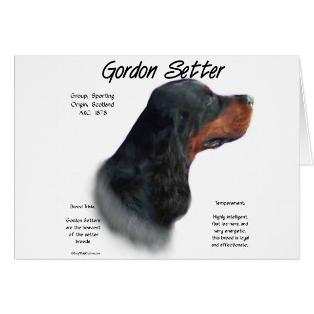 Cartão Design do Gordon Setter History (Frente Horizontal)