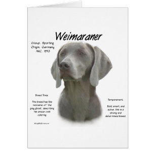 Cartão Design do Histórico do Weimaraner