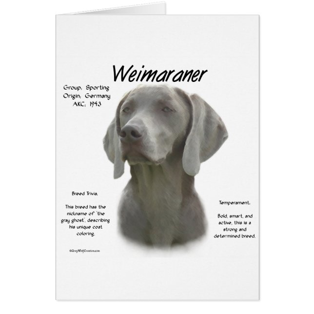 Cartão Design do Histórico do Weimaraner (Frente)