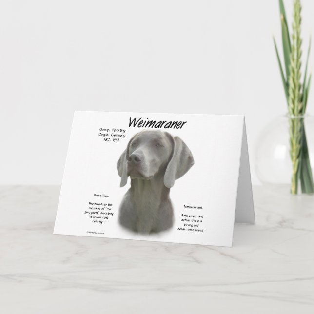 Cartão Design do Histórico do Weimaraner (Frente)