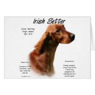 Cartão Design do Irish Setter History