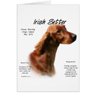 Cartão Design do Irish Setter History