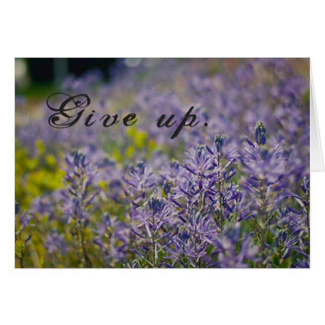 Cartão Desistir (Frente Horizontal)