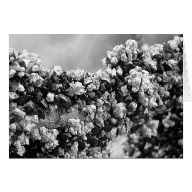 Cartão Desligar (Frente Horizontal)