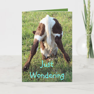 Cartão Dessa's baby calf 2-customize any occasion