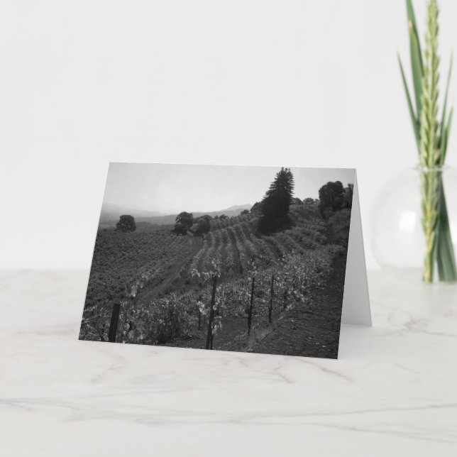 Cartão Detail, Draper Vineyards near St. Helena, 1966 (Frente)