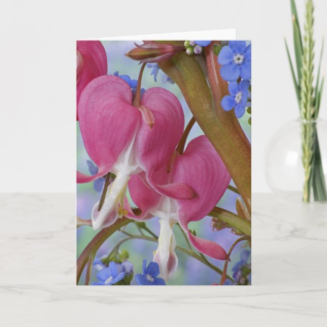 Cartão Detail of bleeding hearts and Brunnera Jack (Frente)