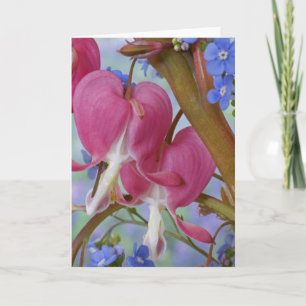 Cartão Detail of bleeding hearts and Brunnera Jack