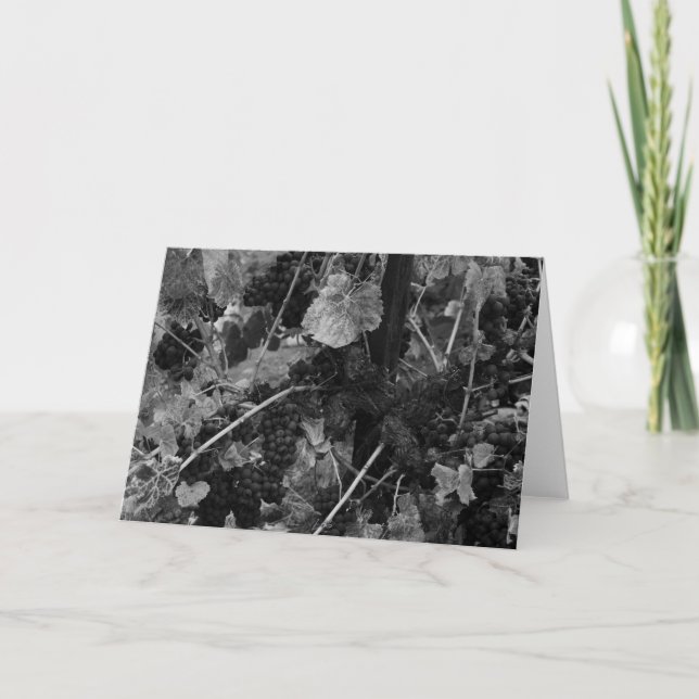 Cartão Detail of Grapes, Draper Vineyard, Napa, 1966 (Frente)