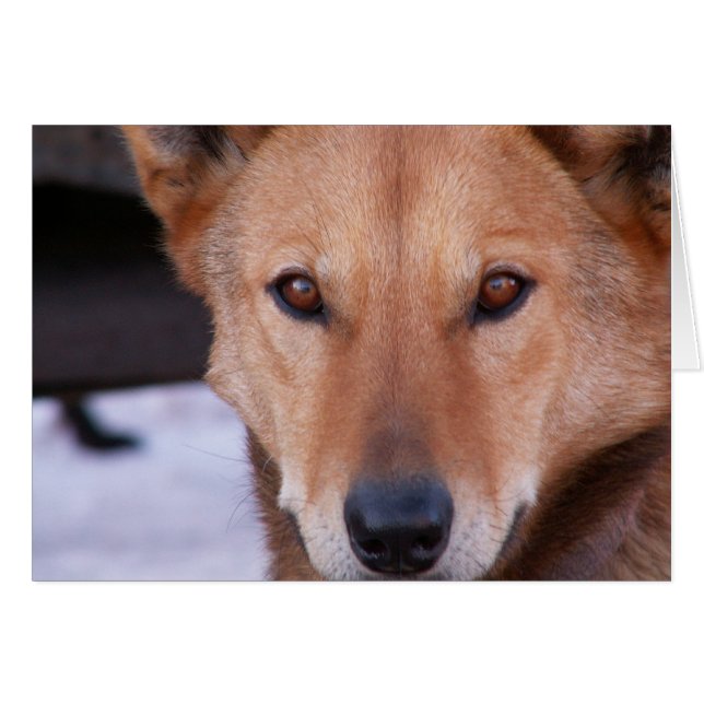 Cartão Determinação (Frente Horizontal)