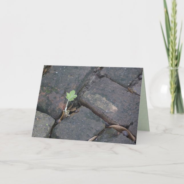 Cartão "determination" greeting card (Frente)