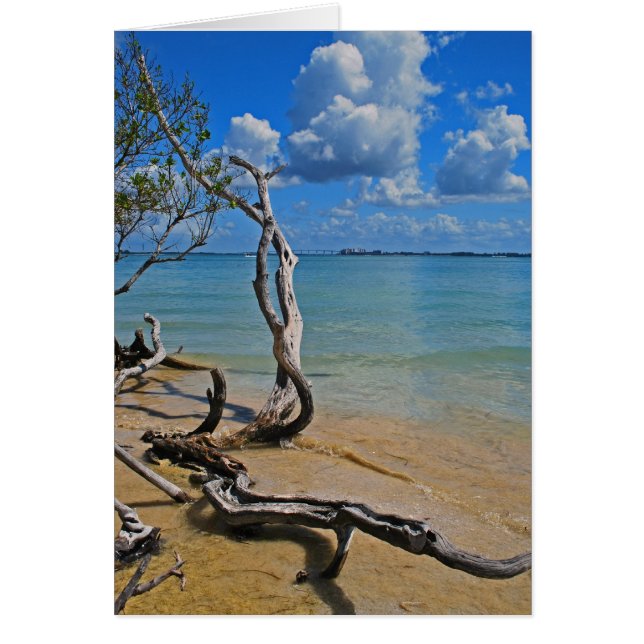 Cartão Detritos para Passagem Cega (Frente)