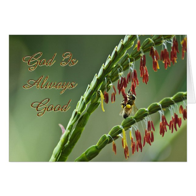 Cartão Deus É Uma Boa Abelha (Frente Horizontal)
