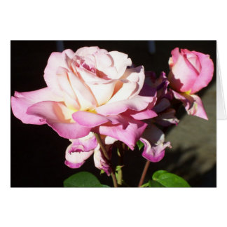 Cartão Deus nos deu Rosas