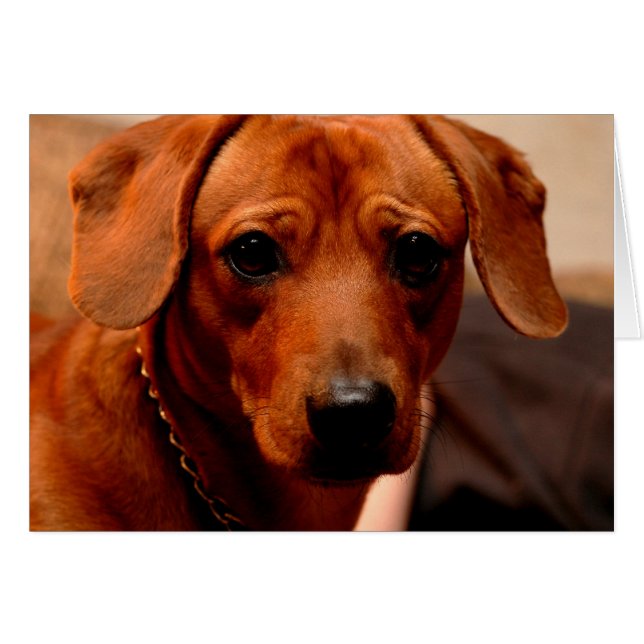 Cartão deusa (Frente Horizontal)