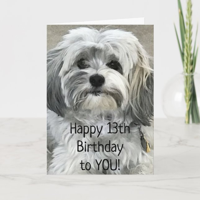 CARTÃO DEVE SER EXCELENTE DE SER UM ANIVERSÁRIO "13" DE A (Frente)