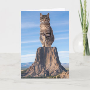 Cartão Devil's Tower Tabby