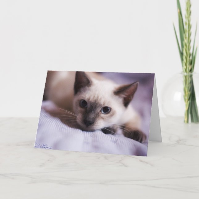 Cartão Deviously Cute Card (Frente)