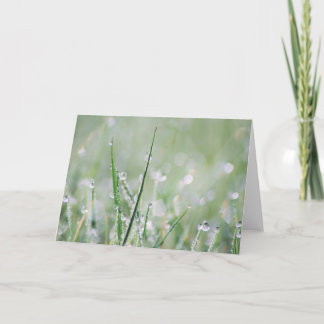 Cartão Dew-covered Grass Blank Greeting Card