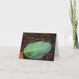 Cartão Dew Dappled Leaf