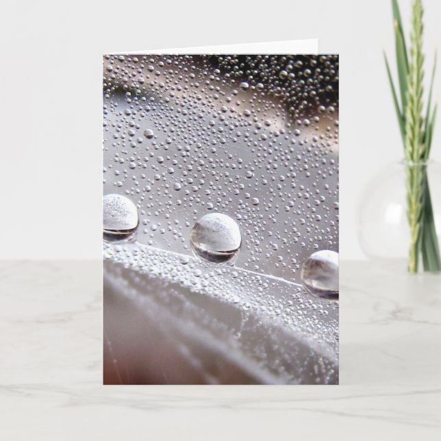 Cartão Dew Drop Astral Stories in Nature (Frente)