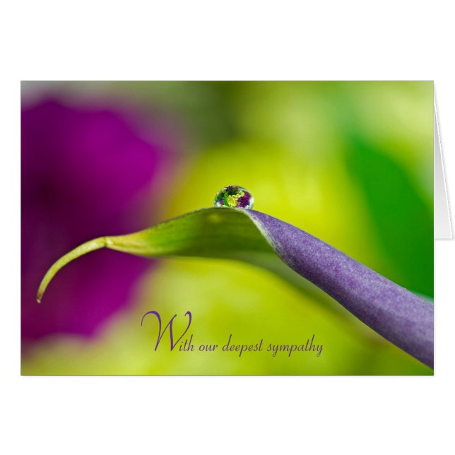 Cartão Dewdrop de Simpatia Mais Profunda na folha (Frente Horizontal)