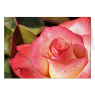 Cartão Dewy Rosa