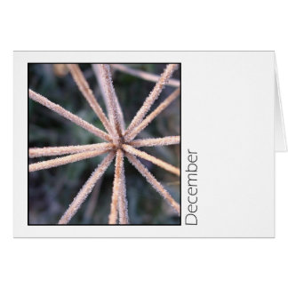 Cartão Dezembro
